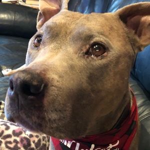 Meet your Posher, Patricia